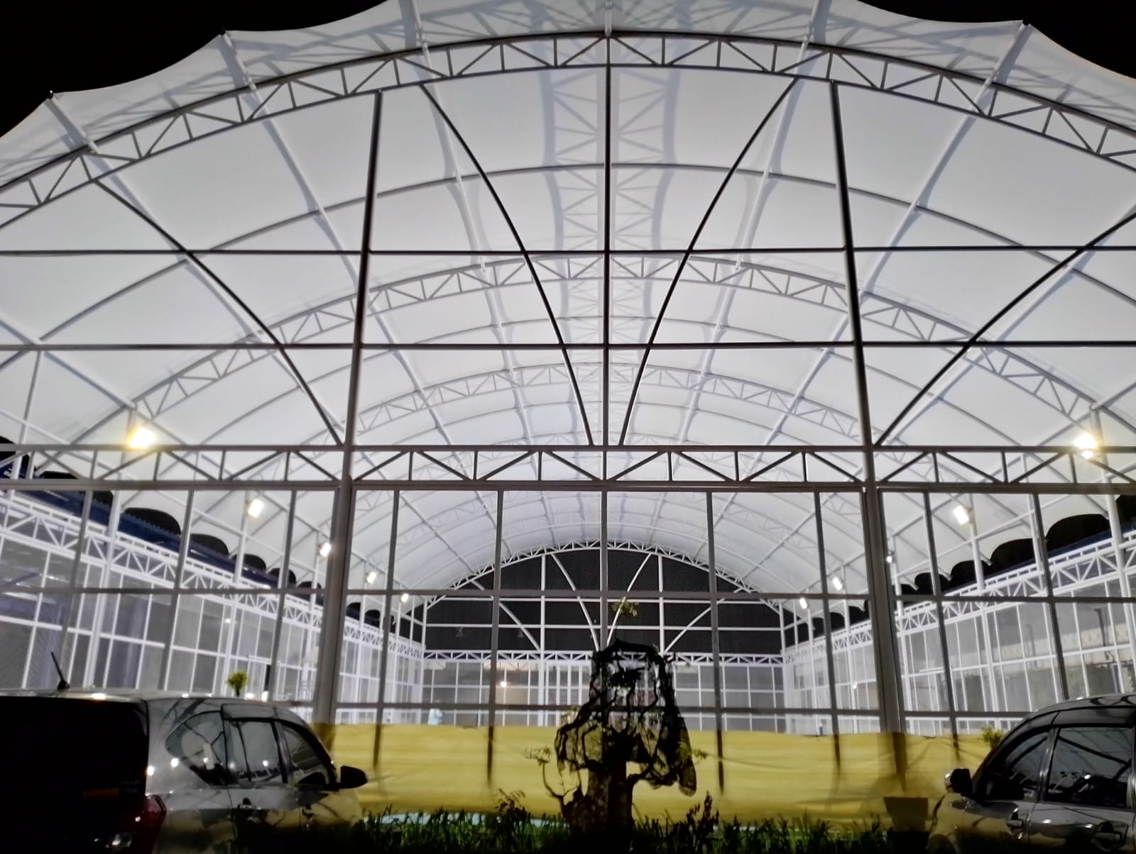 Membrane Lapang Padel
